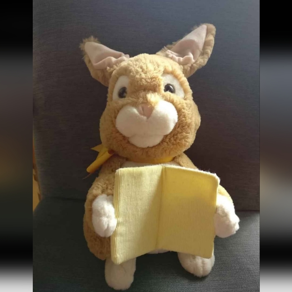 Peter Rabbit Book Collection and Animated Peter Rabbit